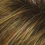 Charlotte Wig by Envy | Synthetic (Lace Front Mono)
