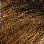 Charlotte Wig by Envy | Synthetic (Lace Front Mono)
