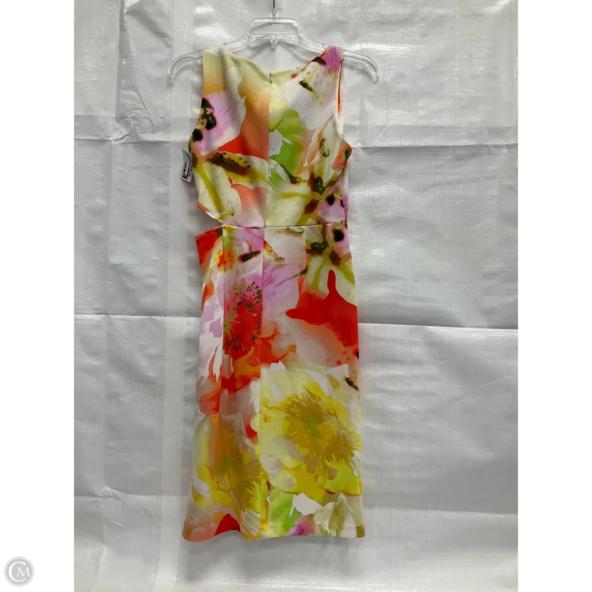 Dress Work By Clothes Mentor In Floral Print, Size: S