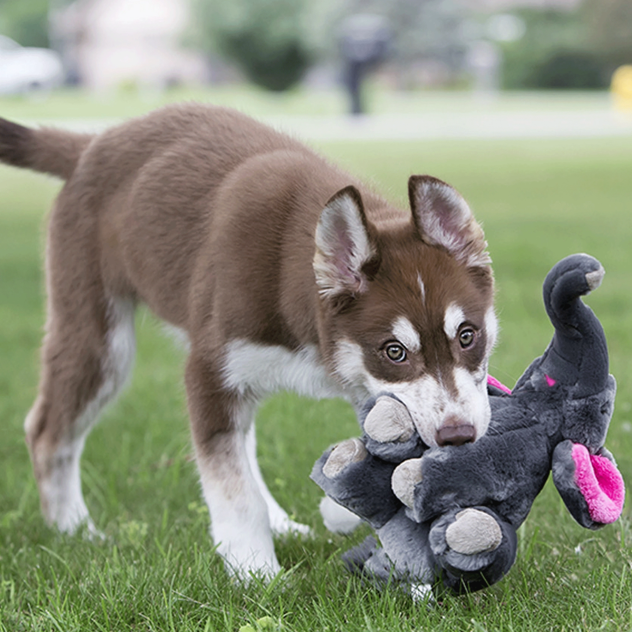 Fluff & Tuff Edsel Elephant Dog Toys