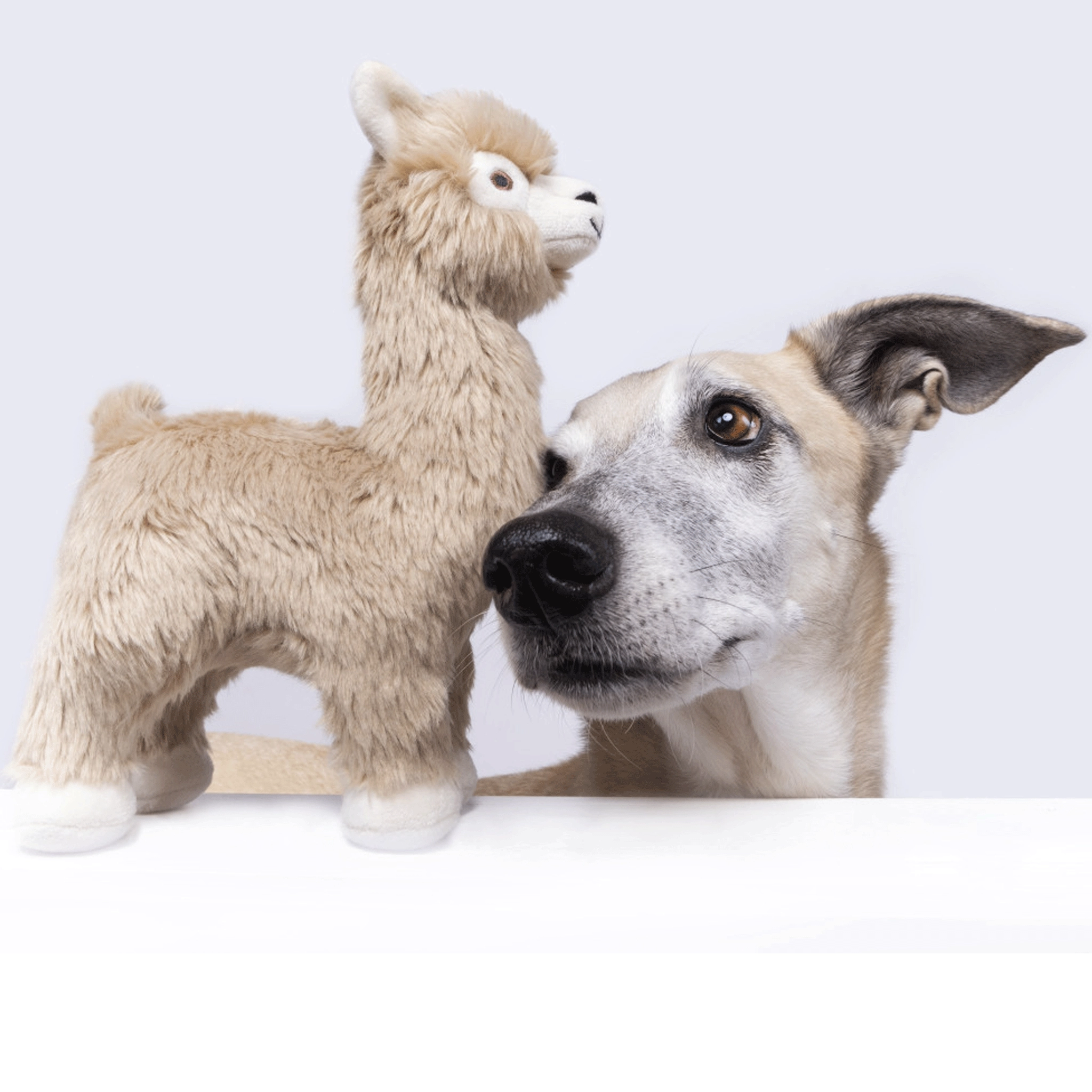 Fluff & Tuff Inca Alpaca Tan Dog Toys