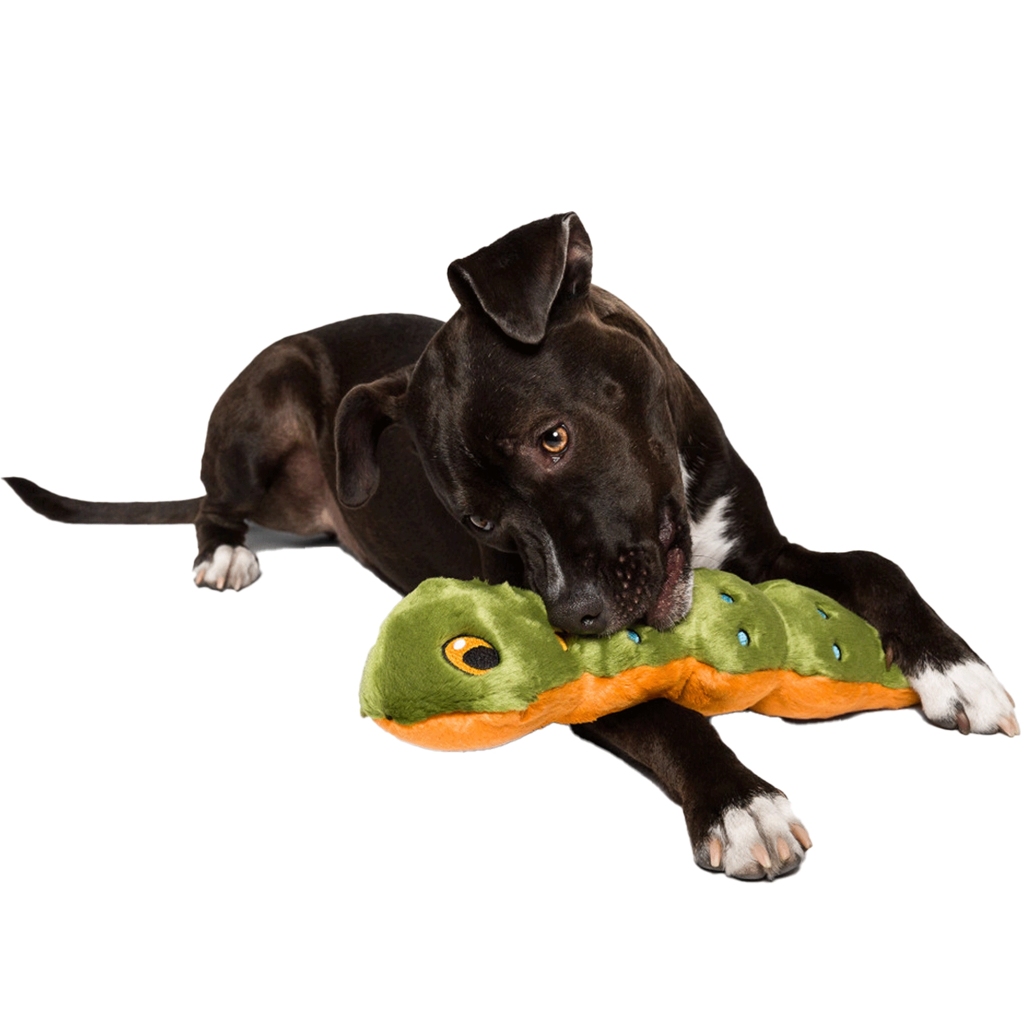 Fluff & Tuff Katie erpillar Green Dog Toys