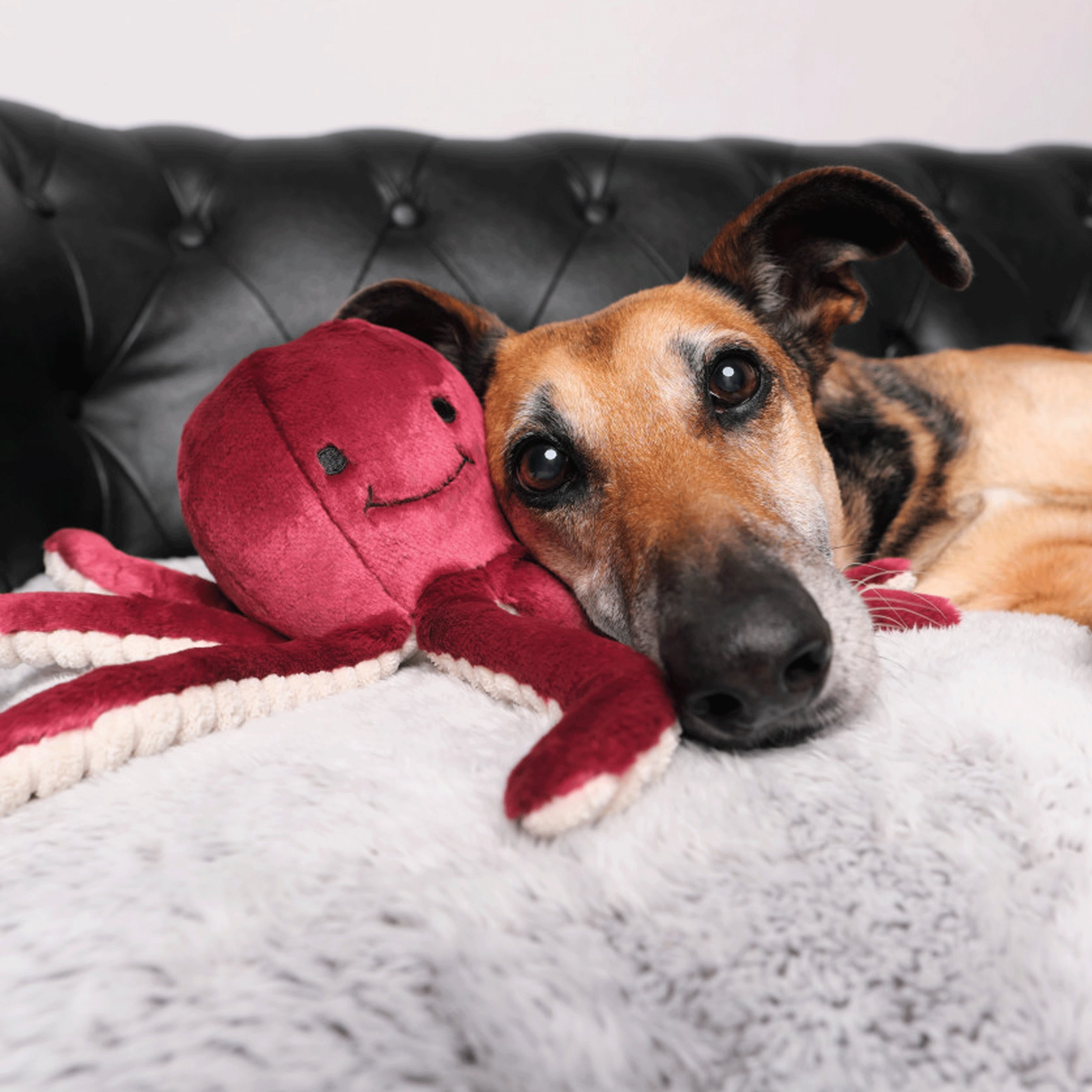 Fluff & Tuff Olympia Octopus Dog Toy