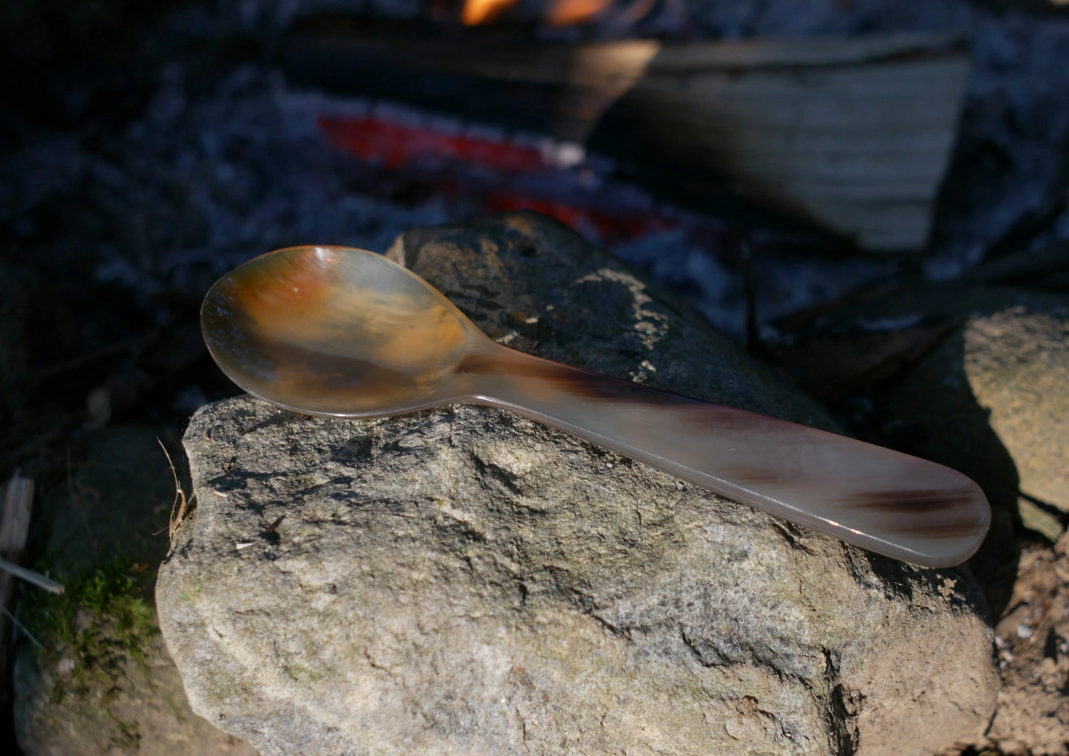 Horn Spoon
