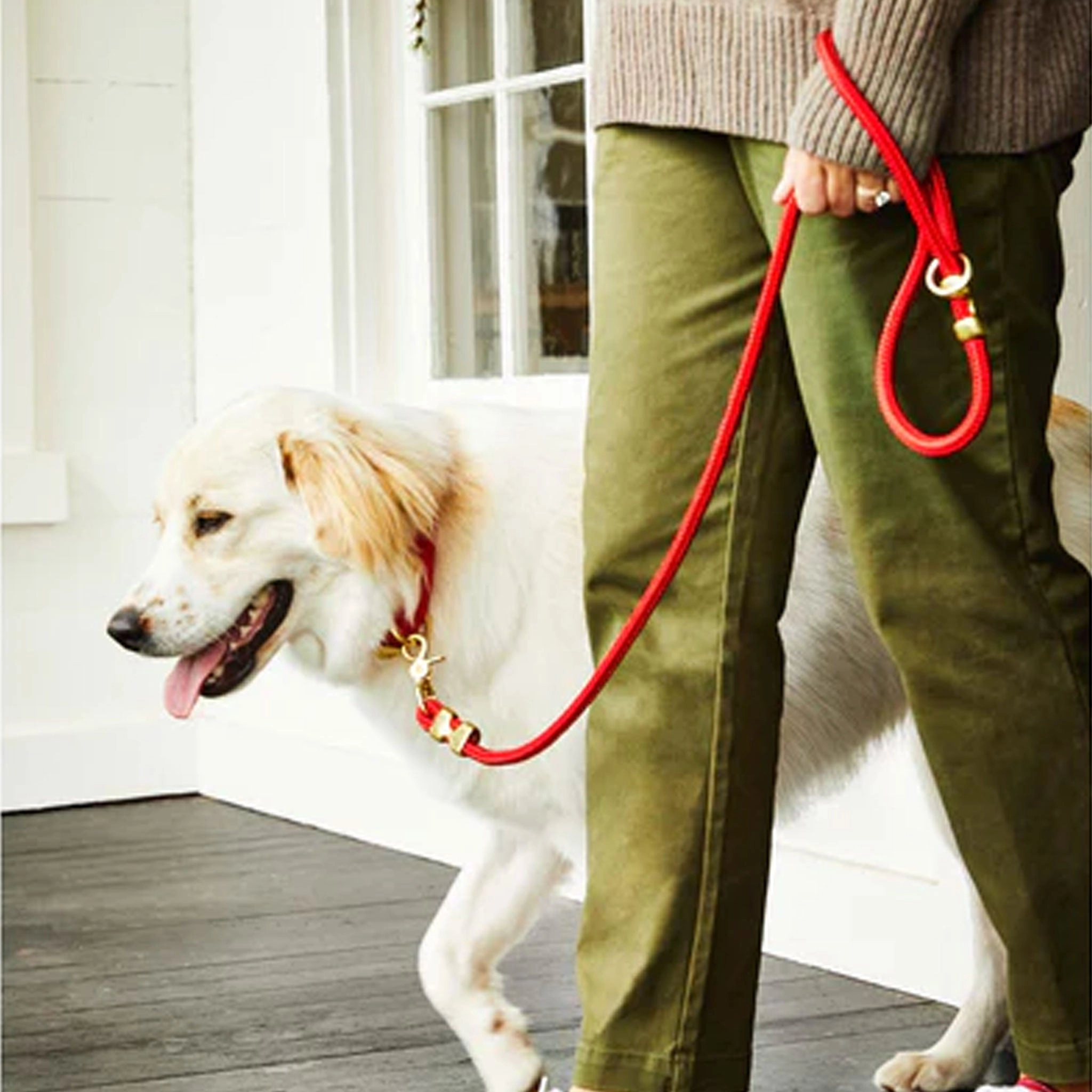 The Foggy Dog Rope Leash Ruby Dog Leads