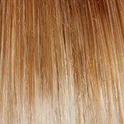 Unspoken Wig by Gabor | Extended Nape (Lace Front Mono Top)