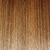 Unspoken Wig by Gabor | Extended Nape (Lace Front Mono Top)